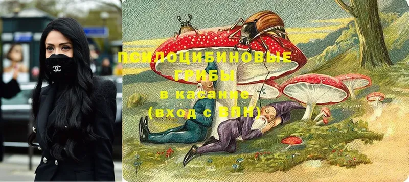 kraken сайт  Кировград  Галлюциногенные грибы Psilocybe 